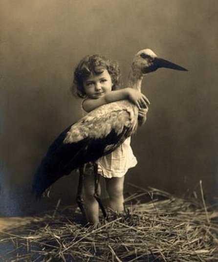 Baby Boy Stork Sign Rental - Long Island Stork Signs